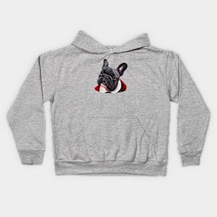 French Dogs Stuff - Frenchton Frenchieco Kids Hoodie